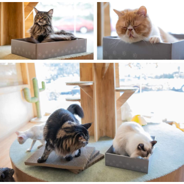 Wide Cat Scratcher Cardboard