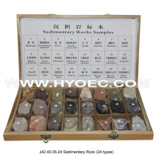Educational Application Sedimentary Rock Sample(24 types)-J42.40.05-24