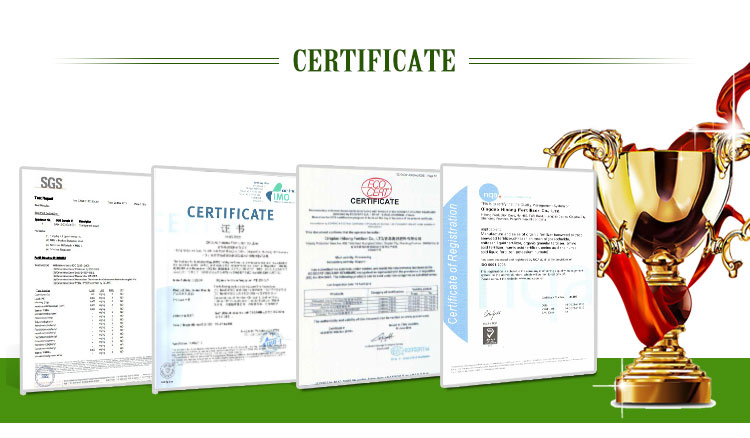 Agripilot Seaweed Extract Liquid Fertilizer