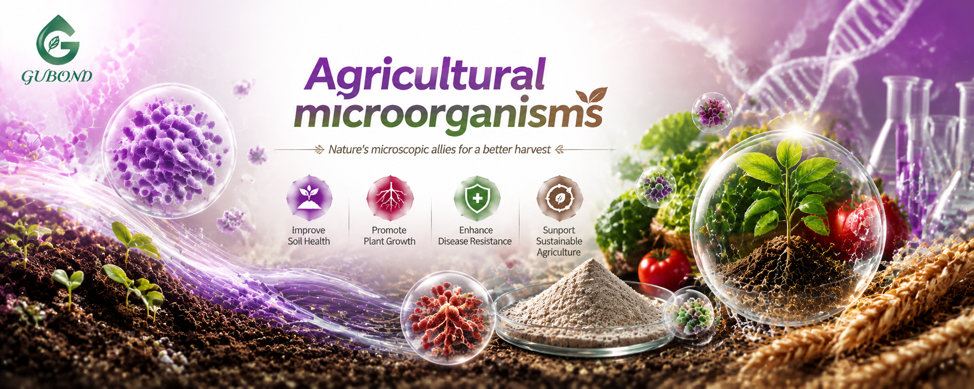 Microorganismos agrícolas Agricultural microorganisms