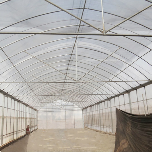 Large 10m Tunnel Plastic Film Greenhouse