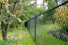 50x50mm Discount Chain Link Fence