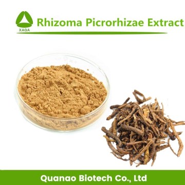 Rhizoma Picrorhize Goldthread Rhizome Extrato em pó