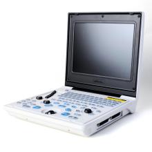 ultrasound machine for dogs