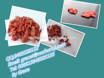 HOT HOT!!!!! NEW CROP GOJIBERRY SUNDRIED GOJI/CHINESE WOLFBERRY