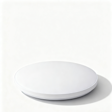 Modern Minimalist LED Ceiling Light