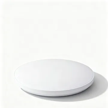 Modern Minimalist LED Ceiling Light