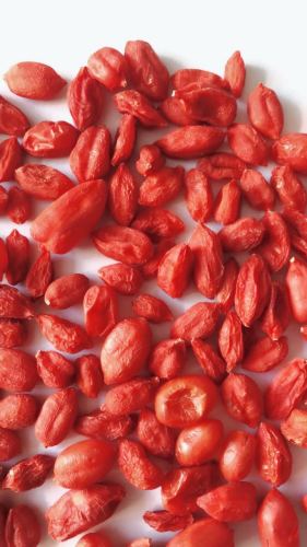 2017 New Certificated Eu Goji Berry 380Grains