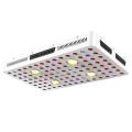 Phlizon 450w COB LED Grow Light comentário