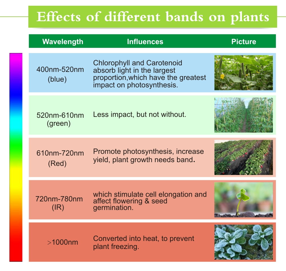 LED Grow Lighting