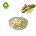 Extrato de raiz de gengibre Solubilidade de água de gingerol anti-oxidante