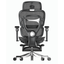 Ergonomic Mesh Office Chair with Tilting Function