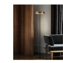 LED Decorative Dimming Floor Lamp