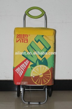 China frofessional manufacturer metal case foldable trolley novelty products chinese