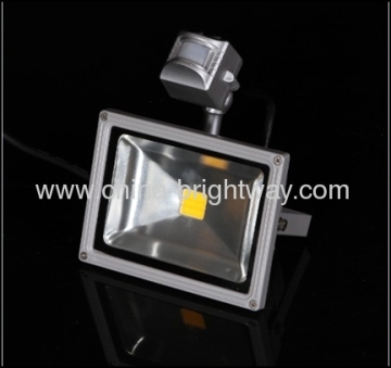 Motion Sensor 10w Led Floodlight?