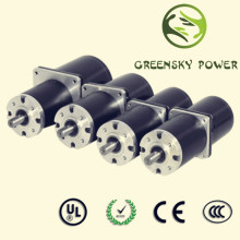 Different Voltage DC Brushless Motor for Electric Mashine