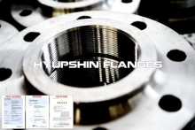 BS4504 Code 113 Thread Screwed BSPT Flanges