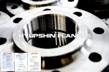 BS4504 Code 113 Thread Screwed BSPT Flanges