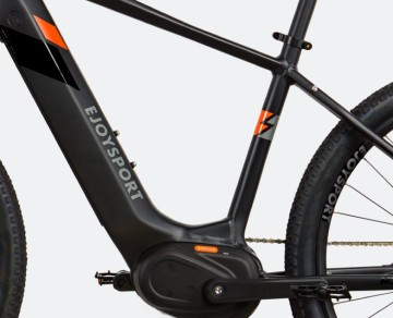 Customized Specialized Electric Mountain Bike