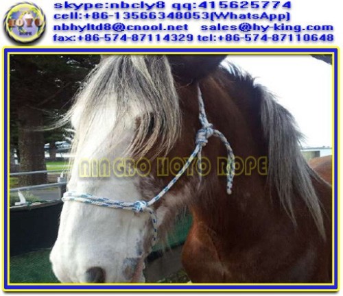 Polyester halters horse , polypropylene rope halter horse , pp rope halter rope