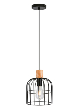 Modern Iron Matt Black Birdcage Pendant Light