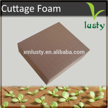 Growing medium foam, cuttage medium, nursery foam