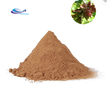 Yucca Plant Extract Yucca Extract Powder