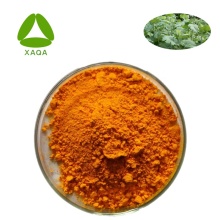Macleaya Cordata Root Extract Sanguinarines 60% Powder