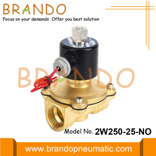 2W250-25 1 &#39;&#39; Normalde Açık Su Solenoid Valfı 24V