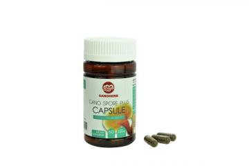 Reishi Mushroom Shell broken Spores Powder capsule