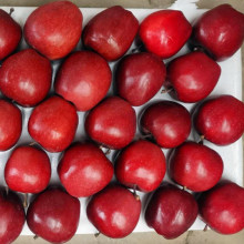Red Delicious Apples Fresh