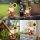 Patung Gnomes Gnomes Tale