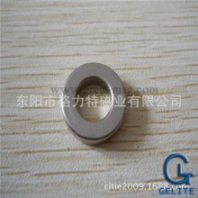 Rustless Ring NdFeB Magnets