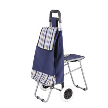 Sac pour chariot Shopping Trolley