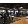 Ensemble de gym complet 230㎡ à vendre