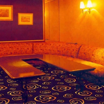 Wilton KTV carpet cheap carpet