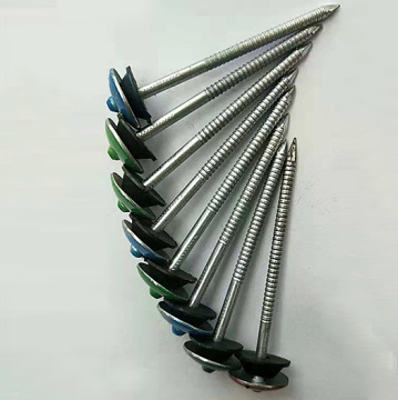 Galvanized roofing nails with umbrellar head
