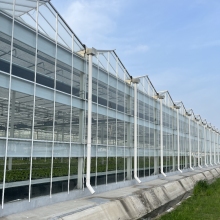 Agriculture Steeple PC Greenhouse with Hydroponic System