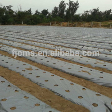 Silver black mulch film for agriculture used