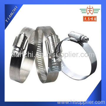 Ss304 Worm Drive Hose Clamp 