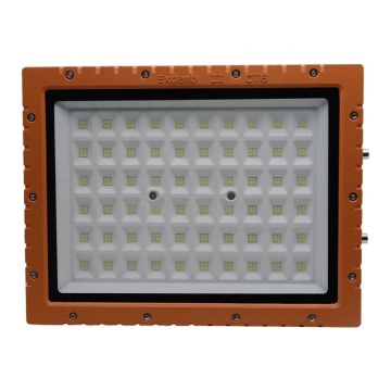 IP66 Approved LED Explosion Proof Platform Light