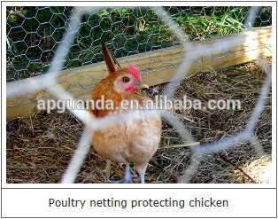chicken mesh/hex wire mesh / chicken wire lowes