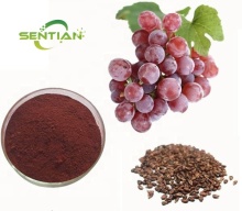 Grape Seed Extract OPC Oligomeric Proantho Cyanidins Powder