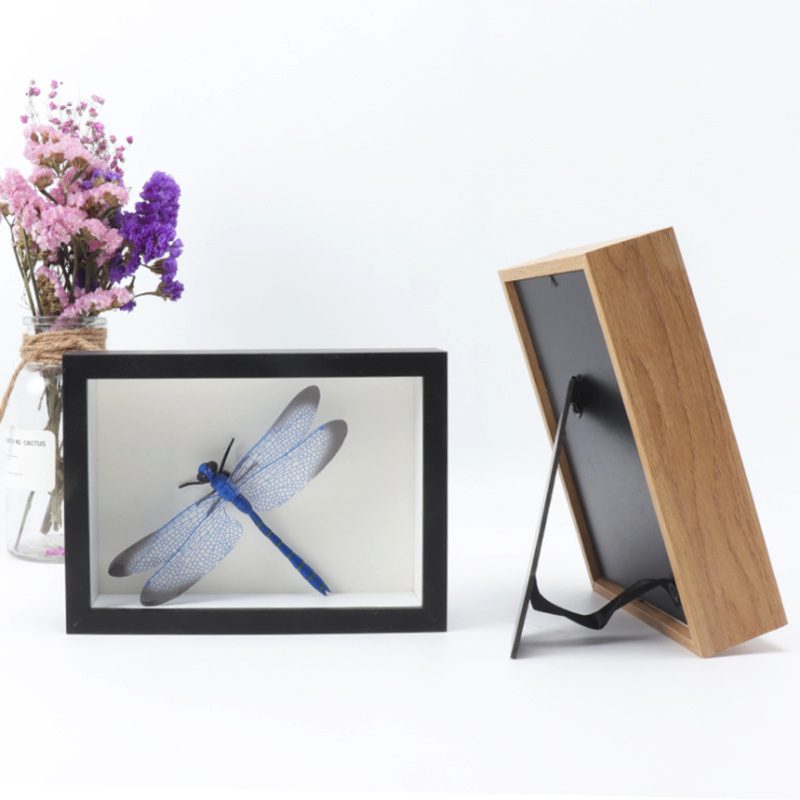 Butterfly Specimens Frame 3D Deep Glass A4 Shadow Box Photo Frames