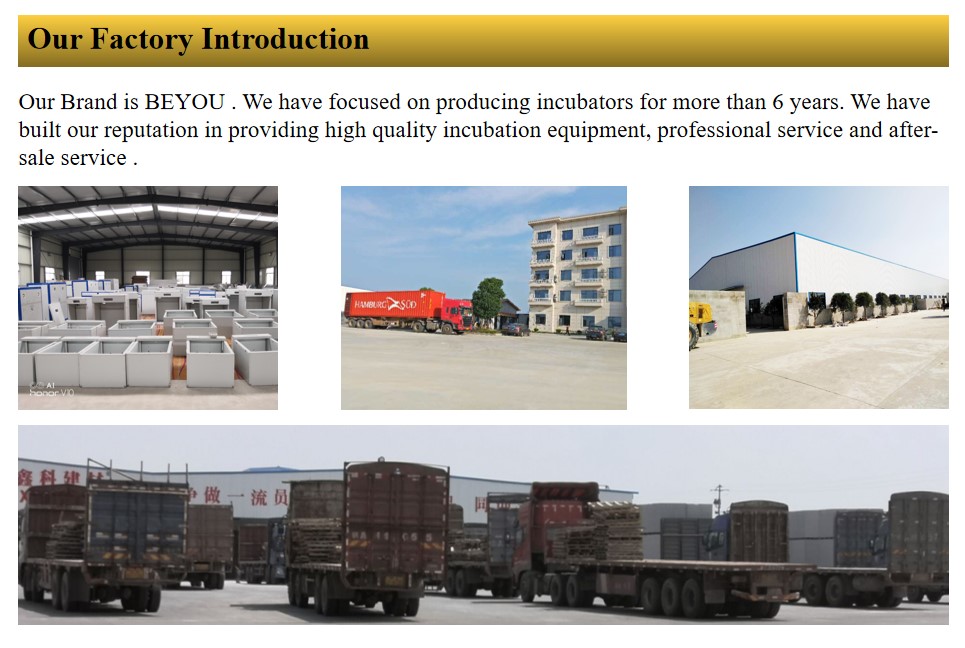 Automatic Farming Egg Incubator Chicken 1000 Egg Setter Haching Machine Incubator Equipment