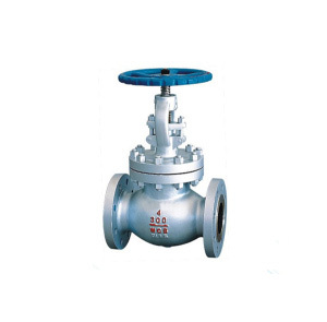 Globe Valves WCB Material