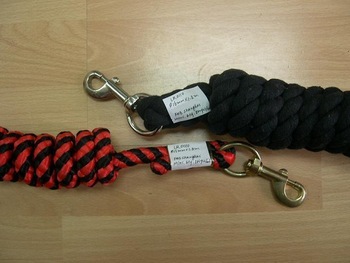 Leading rope