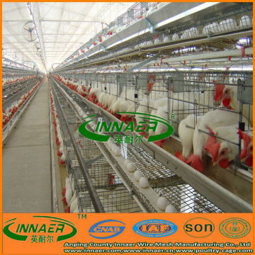 poultry farm layer chicken cage for sale