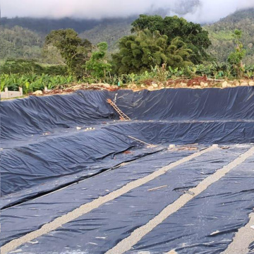 HDPE LLDPE GEOMEMBRANE Tekstur Liner Harga Filipina