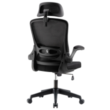 Modern Ergonomic Office Chairs with High-Back and Lumbar Support